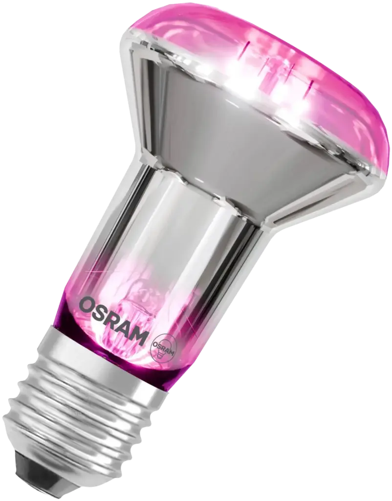R63 E27 60W FLORA RADIUM