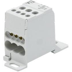 FTG BORNIER MODULAIRE 80A