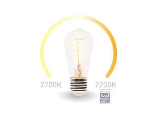 [SMART1211] SMART E27 EDISON 555LM 2200-2700K
