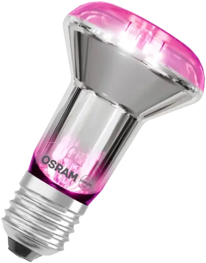 [R6360] R63 E27 60W FLORA RADIUM